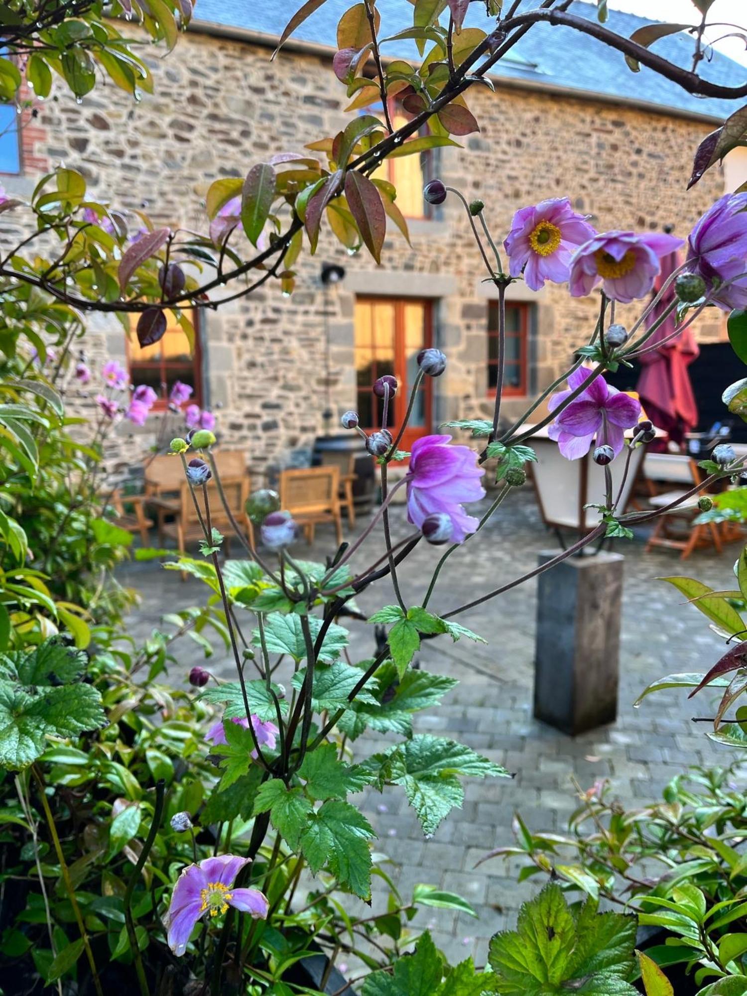 Domaine Du Tertre Ychot Hotel ดอล-เดอ-เบรอตาญ ภายนอก รูปภาพ